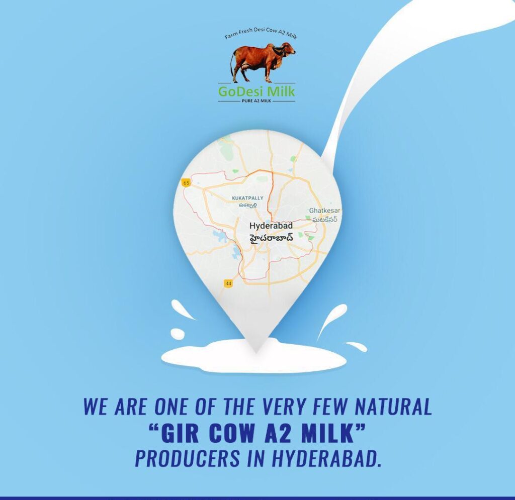 Most trusted A2 milk brand in Hyderabad, Best dairy farm in hyderabad, organic A2 cow milk
