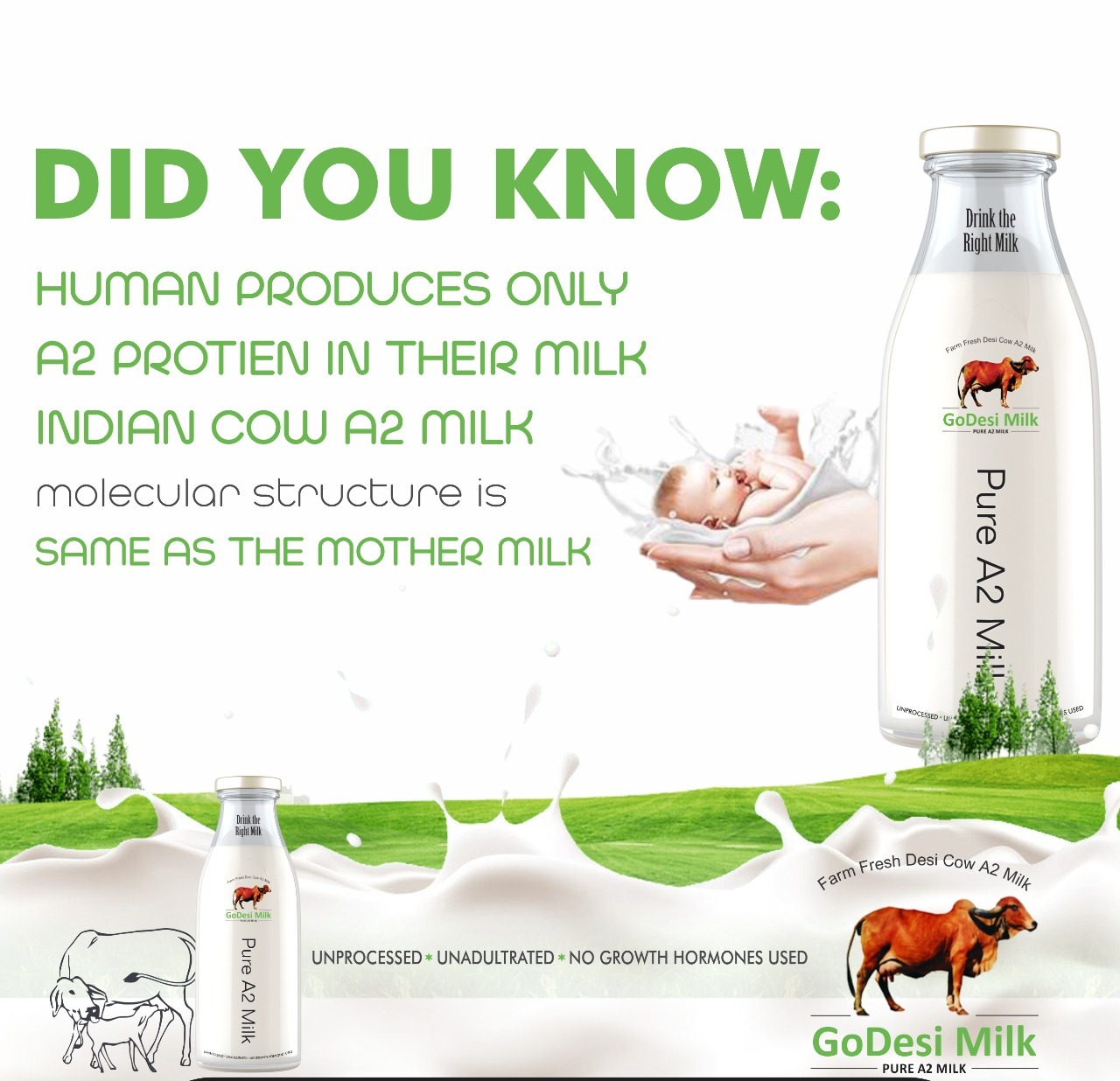 Where I can buy organic desi cow milk in hyderabad, Where I can buy organic desi cow A2 milk in hyderabad, which milk is best in hyderabad, where is pure organic cow milk available in hyderabad